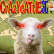 Crazy Cattle img